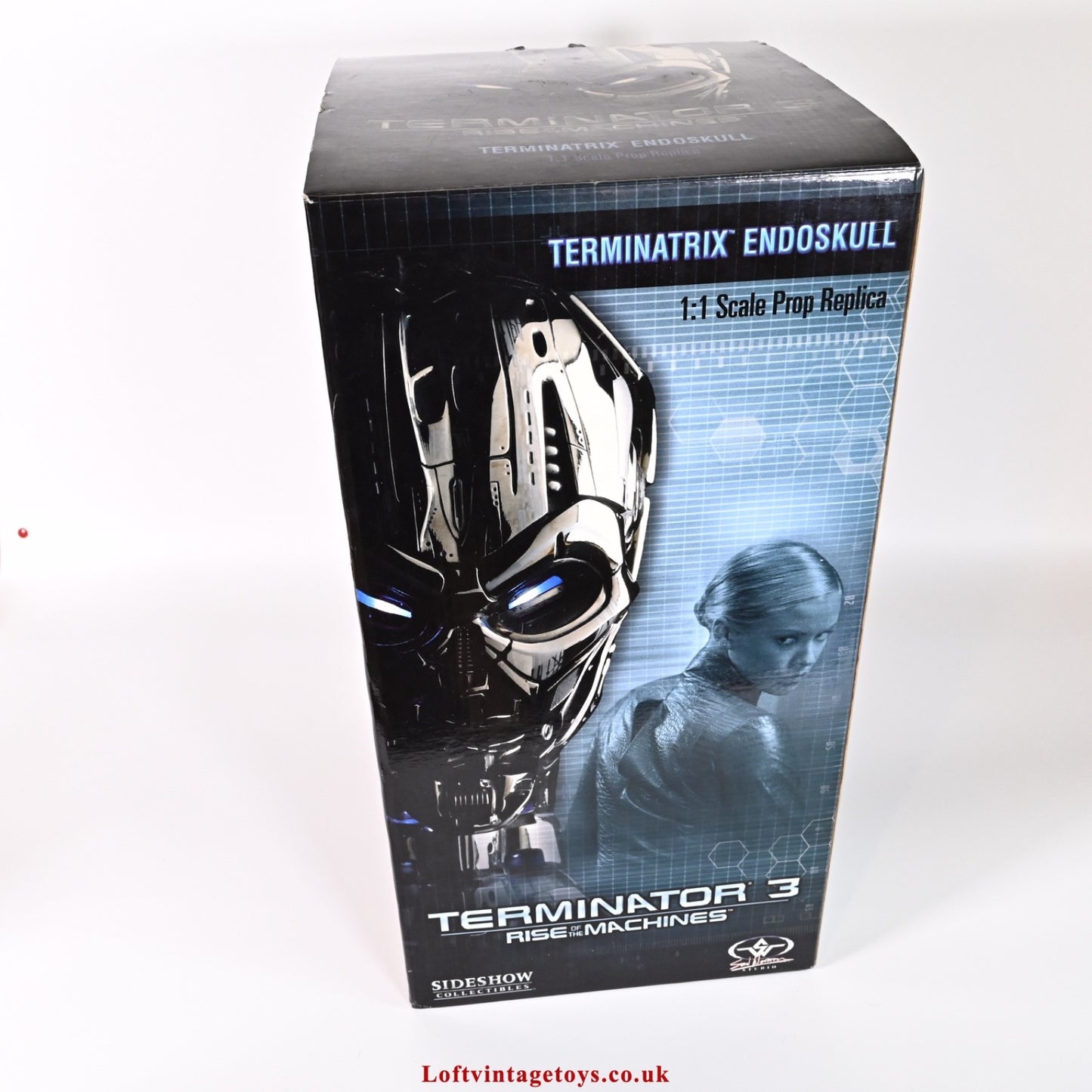 Terminator 3 Life Size Terminatrix Endoskull by Sideshow Collectibles