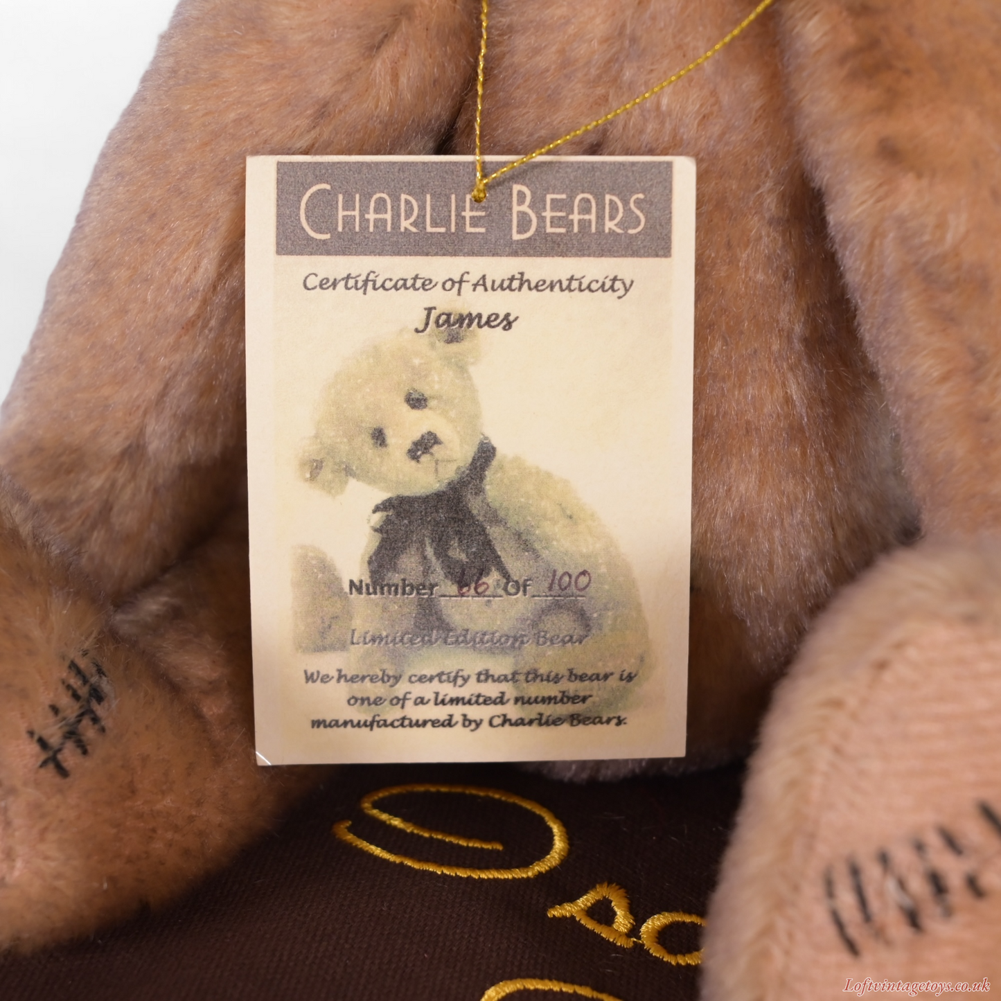Charlie Bears Mohair James Teddy Bear - CBM 073584B