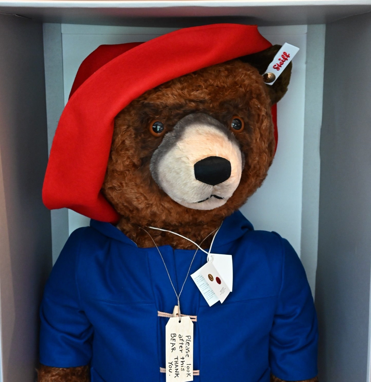 Steiff Life Size Paddington Bear - 690365 Ltd Ed of 138/350 VERY RARE