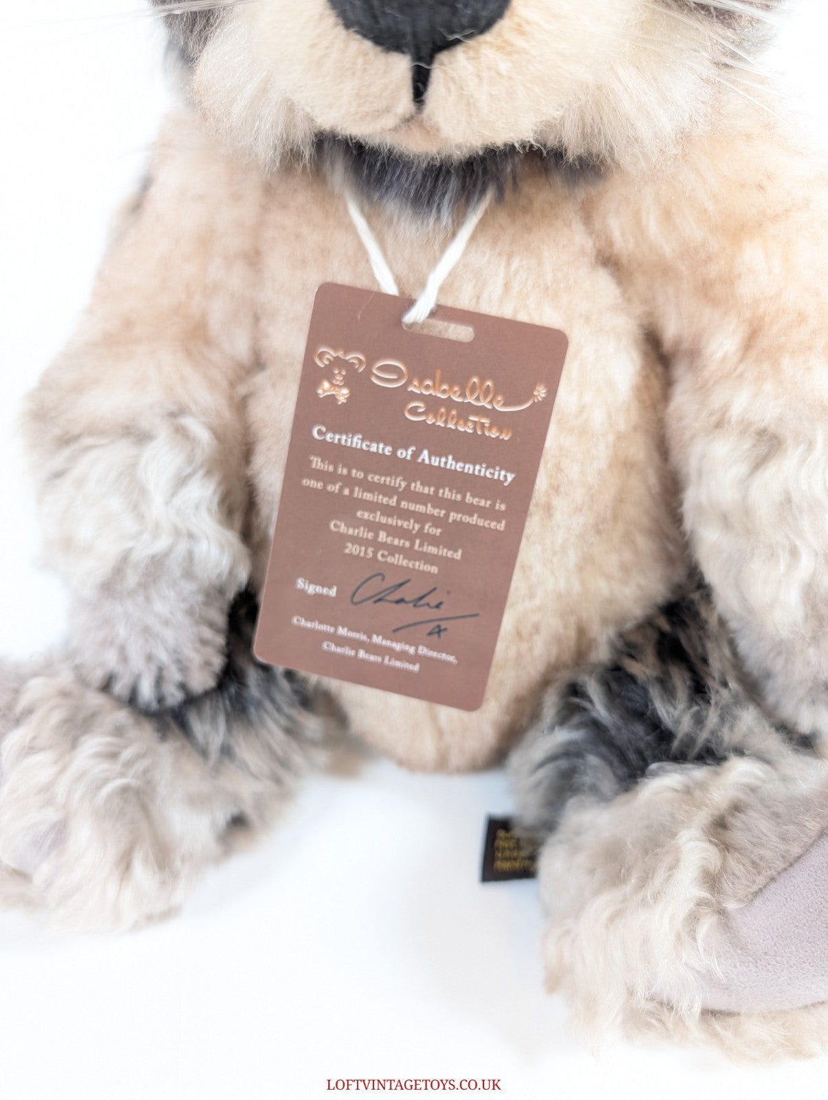 Charlie Bears Treetop Racoon, Isabelle Collection - SJ 5380