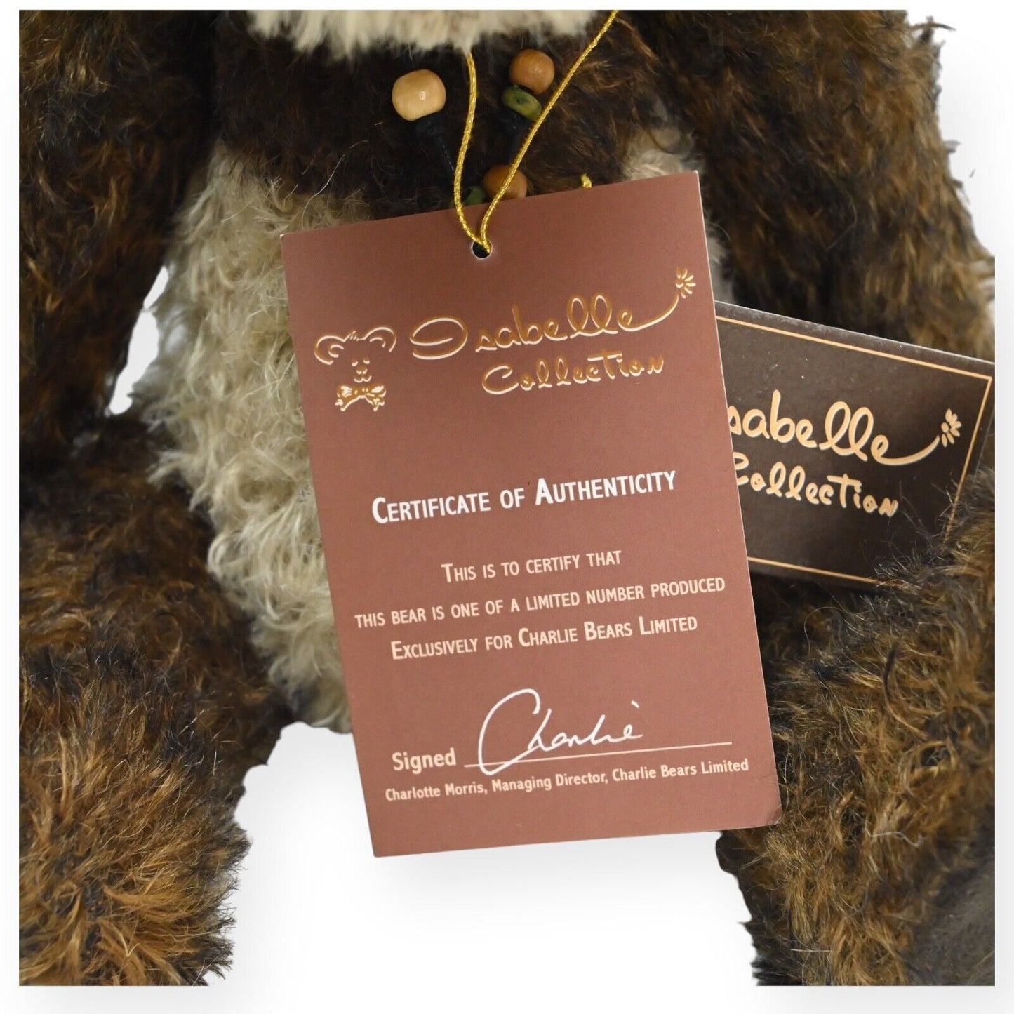Charlie Bears Isabelle Collection Doodle Pandabär - Selten LE 117/300 (2)