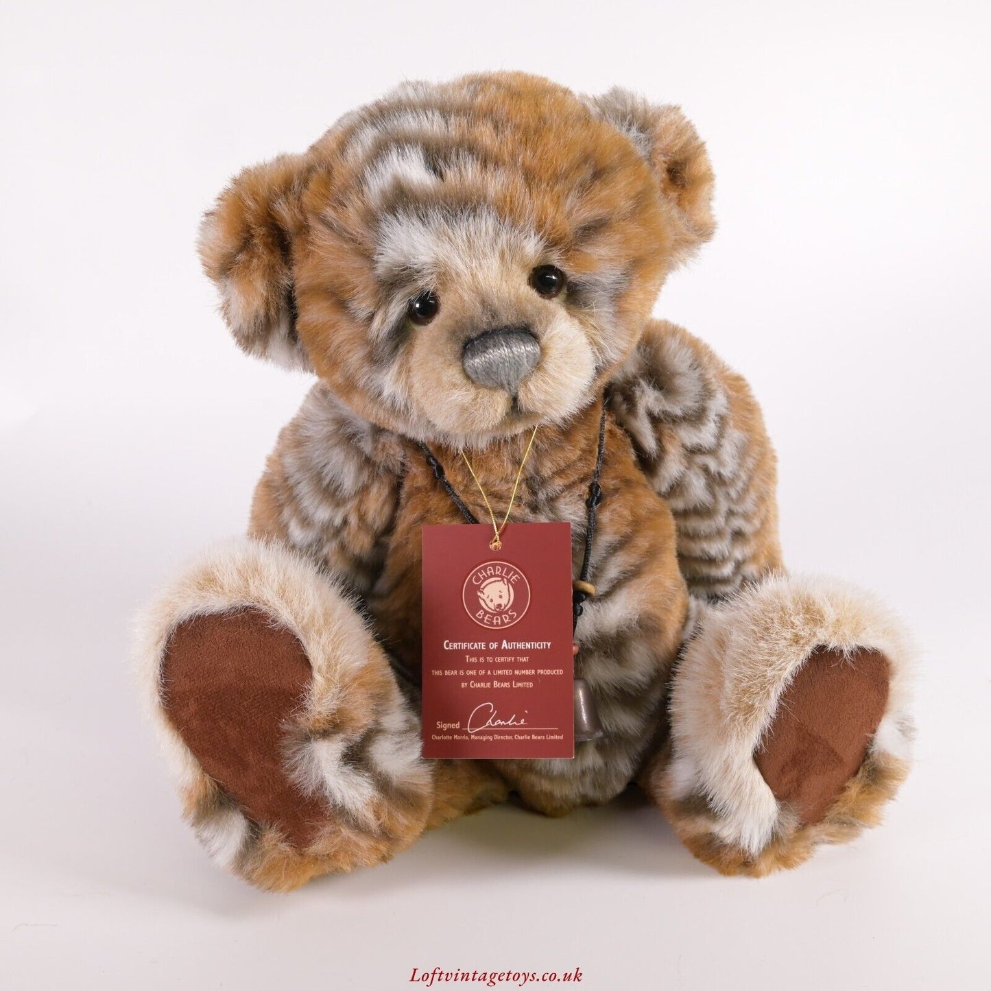 Charlie Bears Abhay - CB114971 with Swing Tags