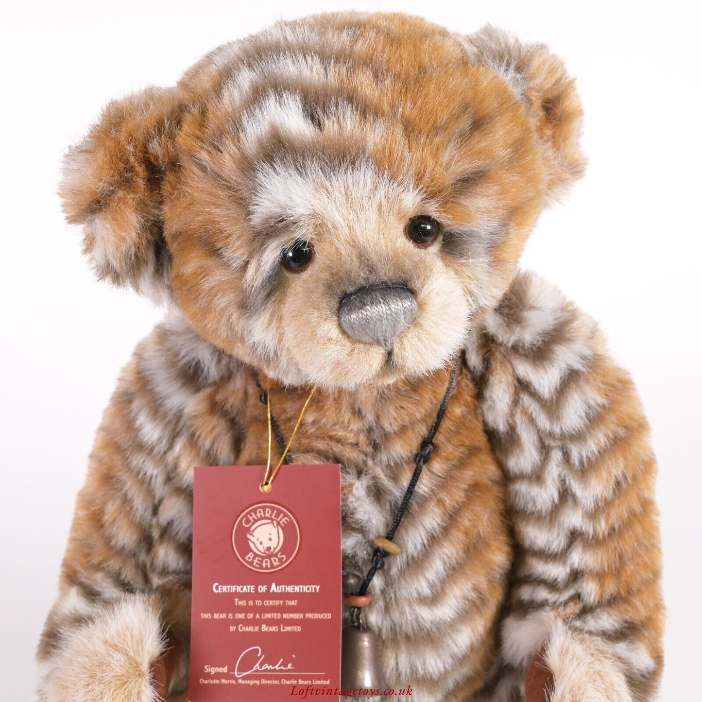 Charlie Bears Abhay - CB114971 with Swing Tags