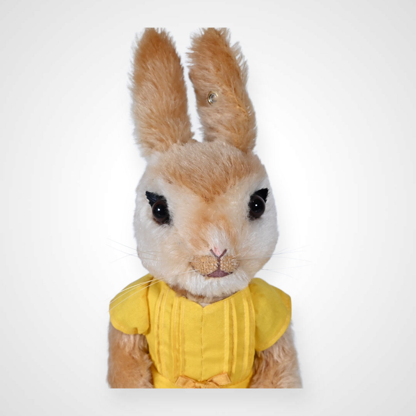 Steiff Beatrix Potter Mopsy Bunny - 355196 Limited Edition