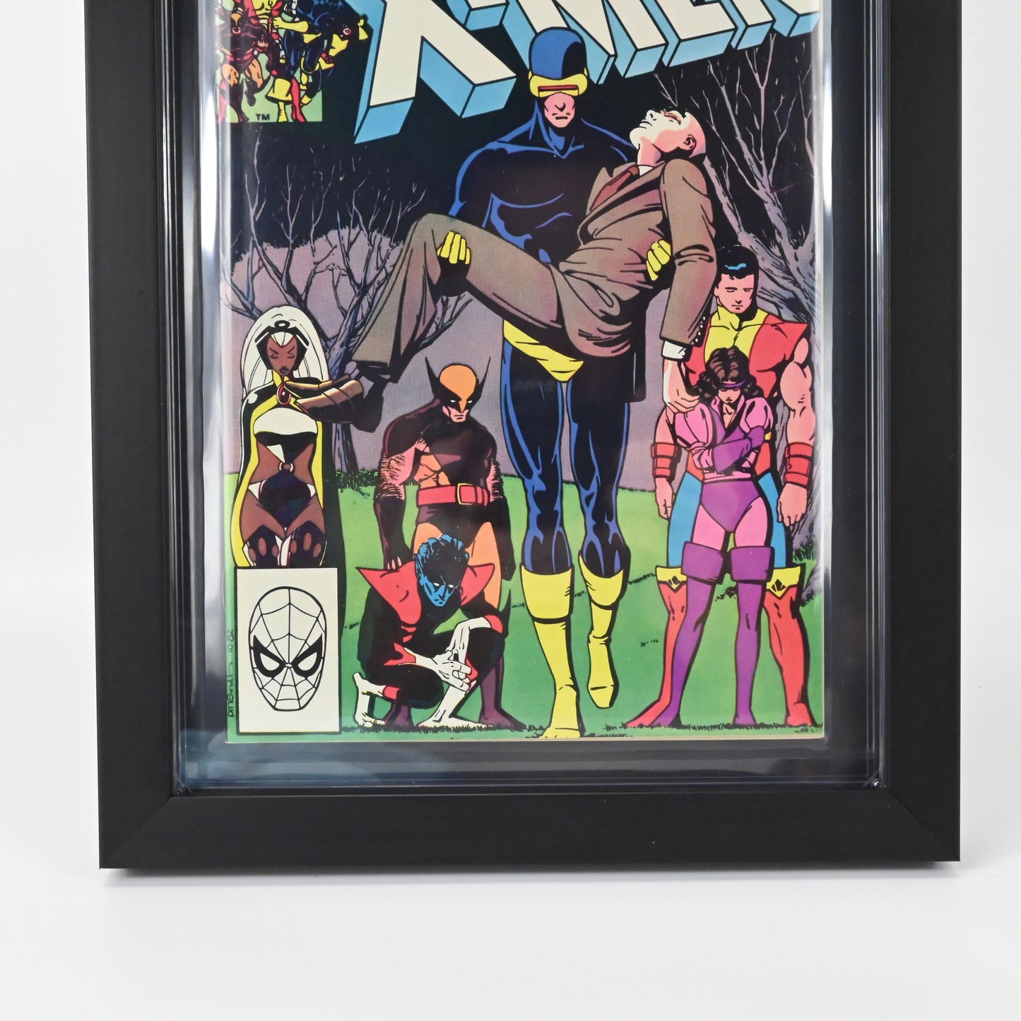 CGC Graded Comics Black Painted Frame & Black Mount *Comic not Included*