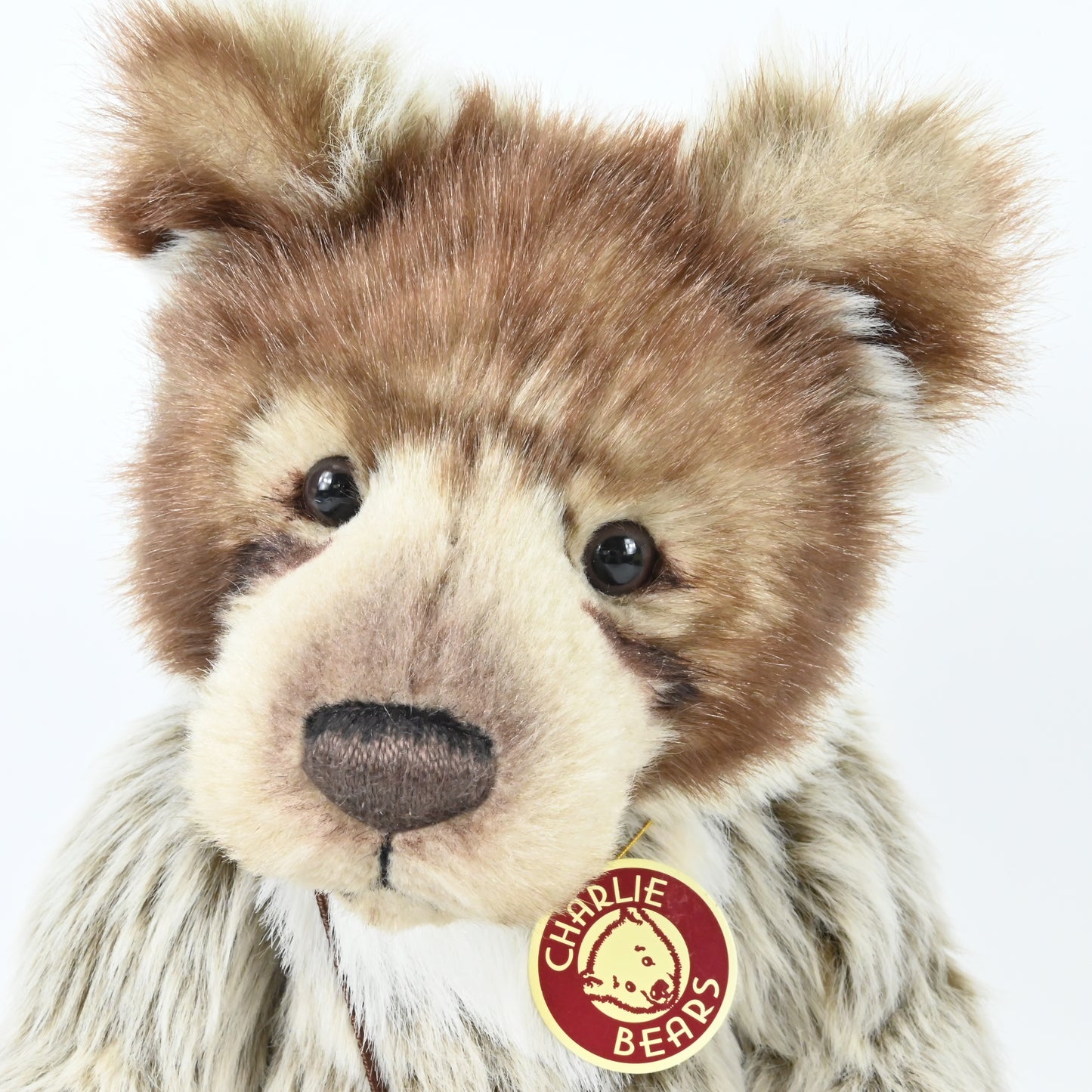 Charlie Bears Original Diesel 2009 Bear - CB093854B RETIRED