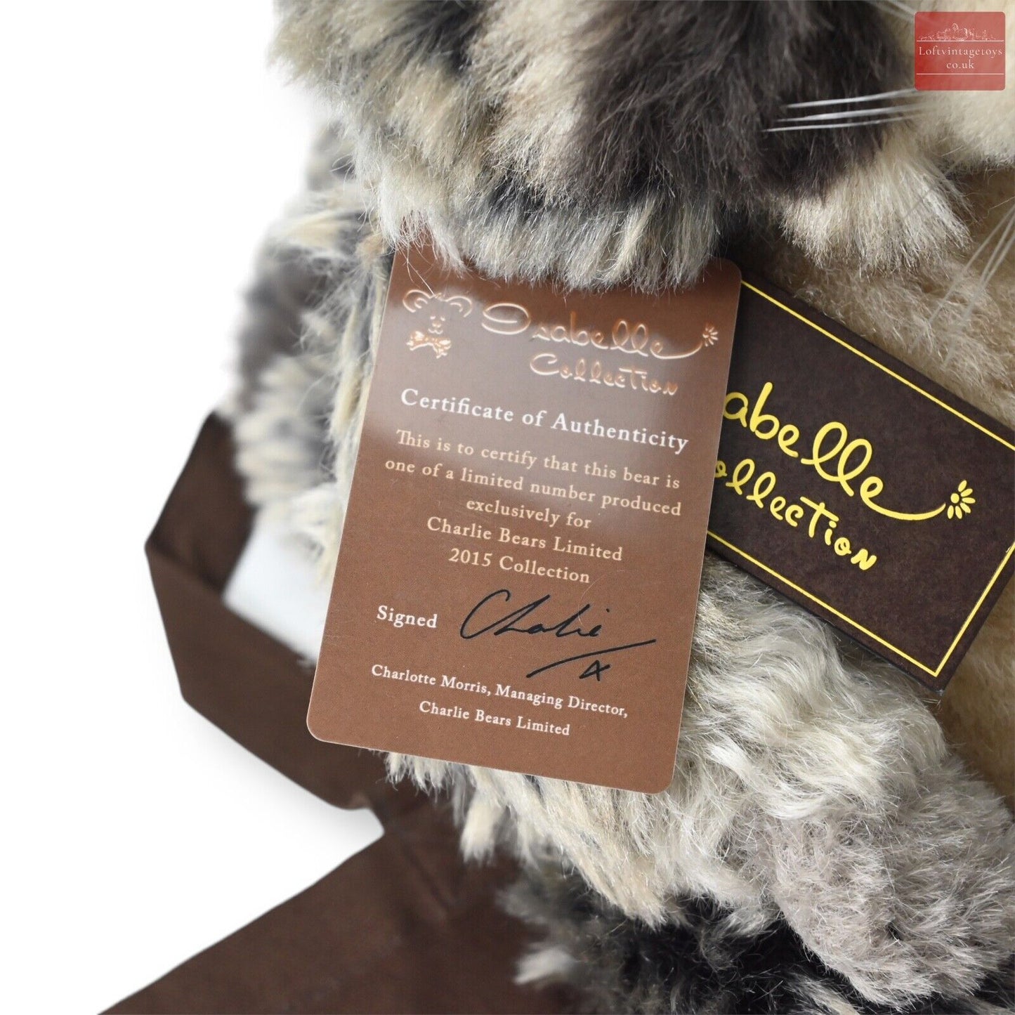 Charlie Bears Treetop Racoon - SJ 5380