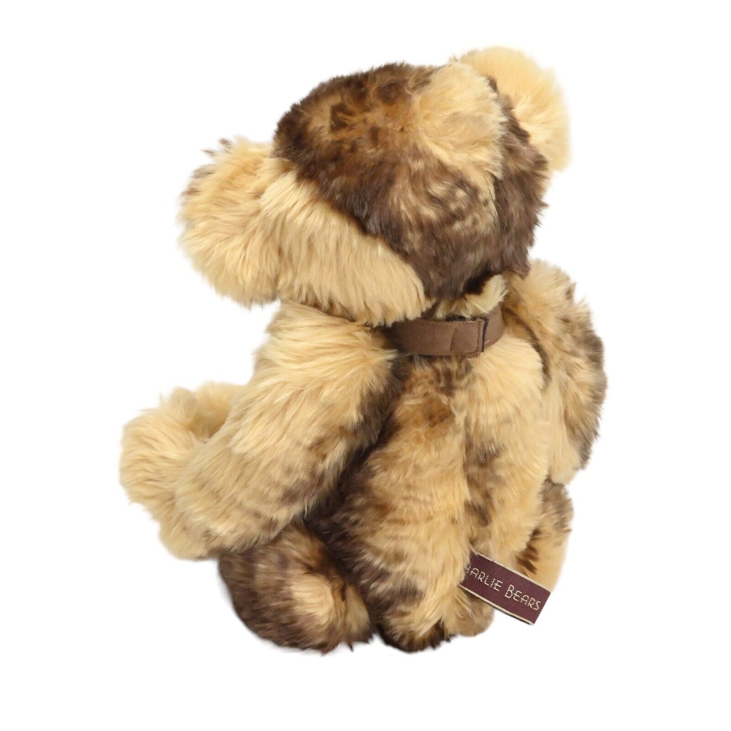 Charlie Bear Bradley – CB 094305 / Im Ruhestand