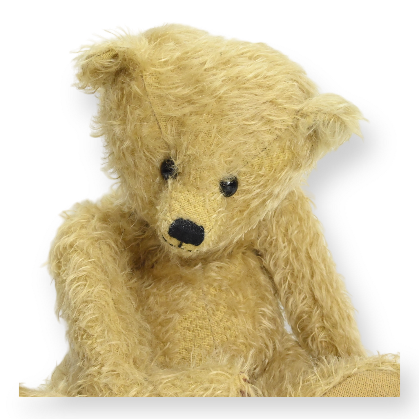 Charlie Bears Mohair Alfie Teddy Bear - CBM 16040, LE 196 / 200, 2006 - 2007