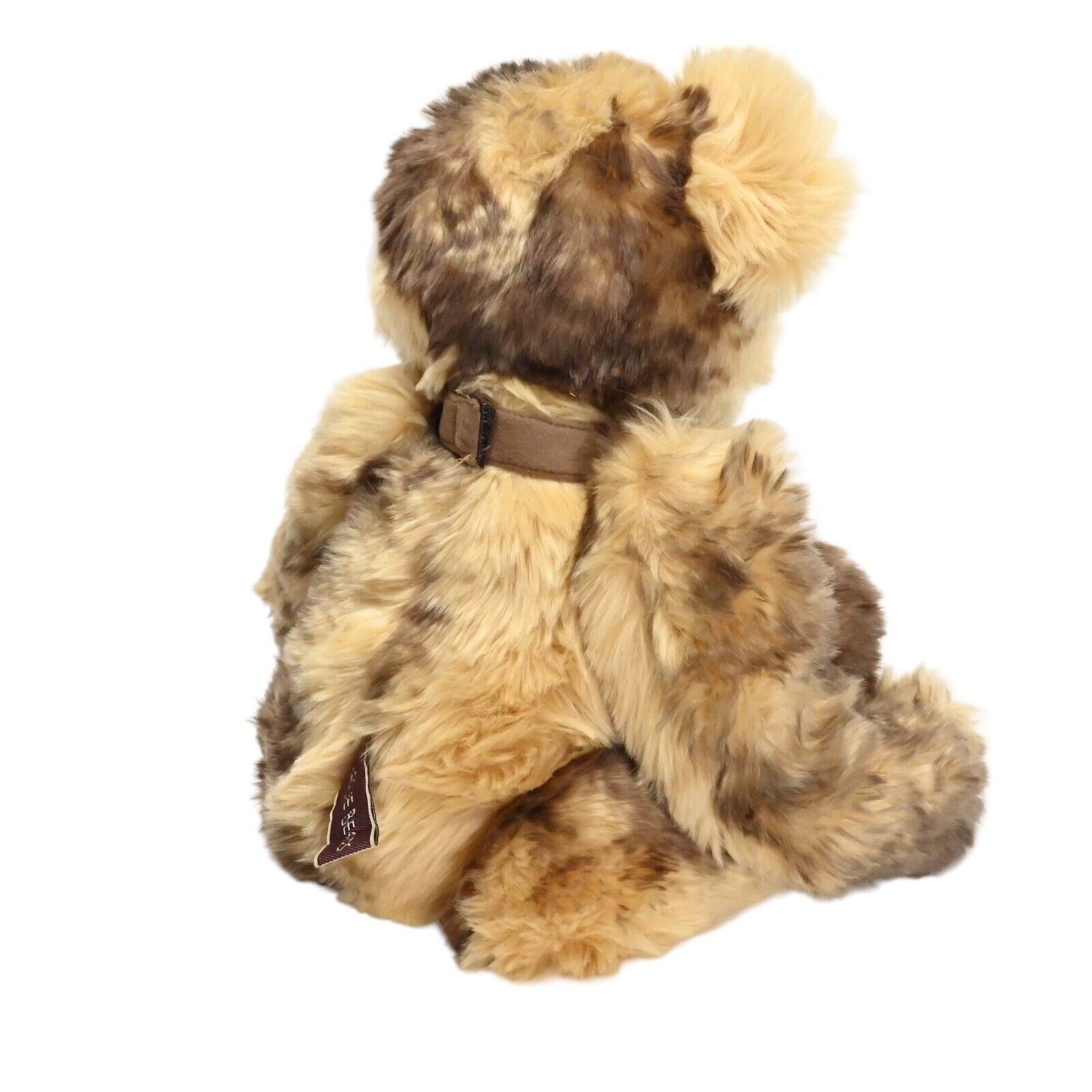 Charlie Bear Bradley – CB 094305 / Im Ruhestand