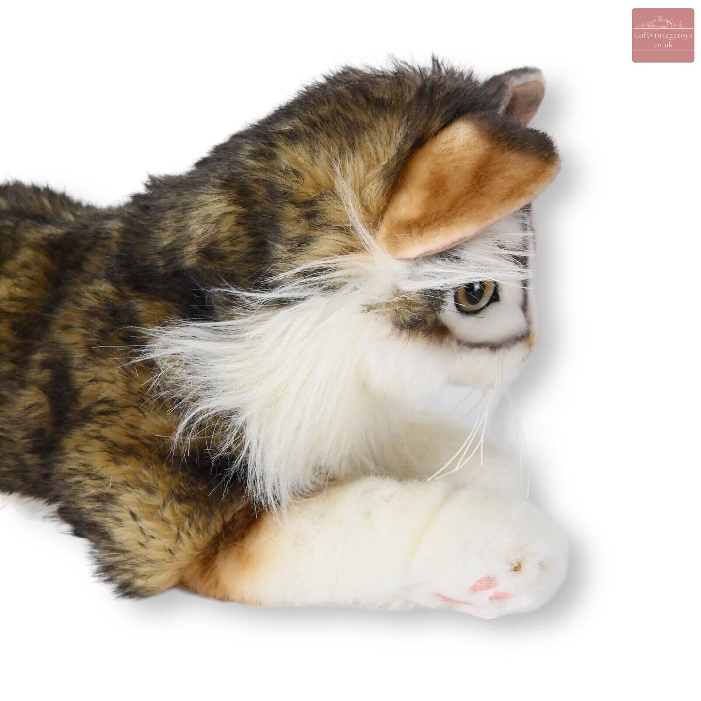 Steiff Limited Edition Lesley Anne Ivory's Agneatha Cat - 690716