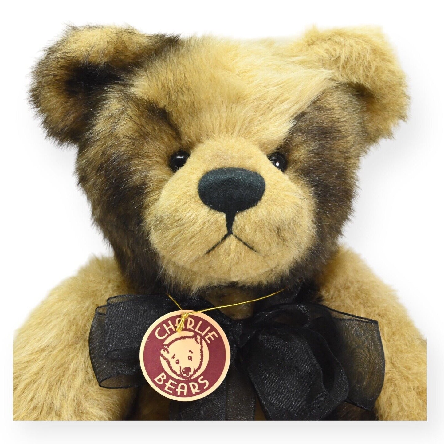 Charlie Bears Kyle Teddybär - Limited Edition von 600 / CB173697