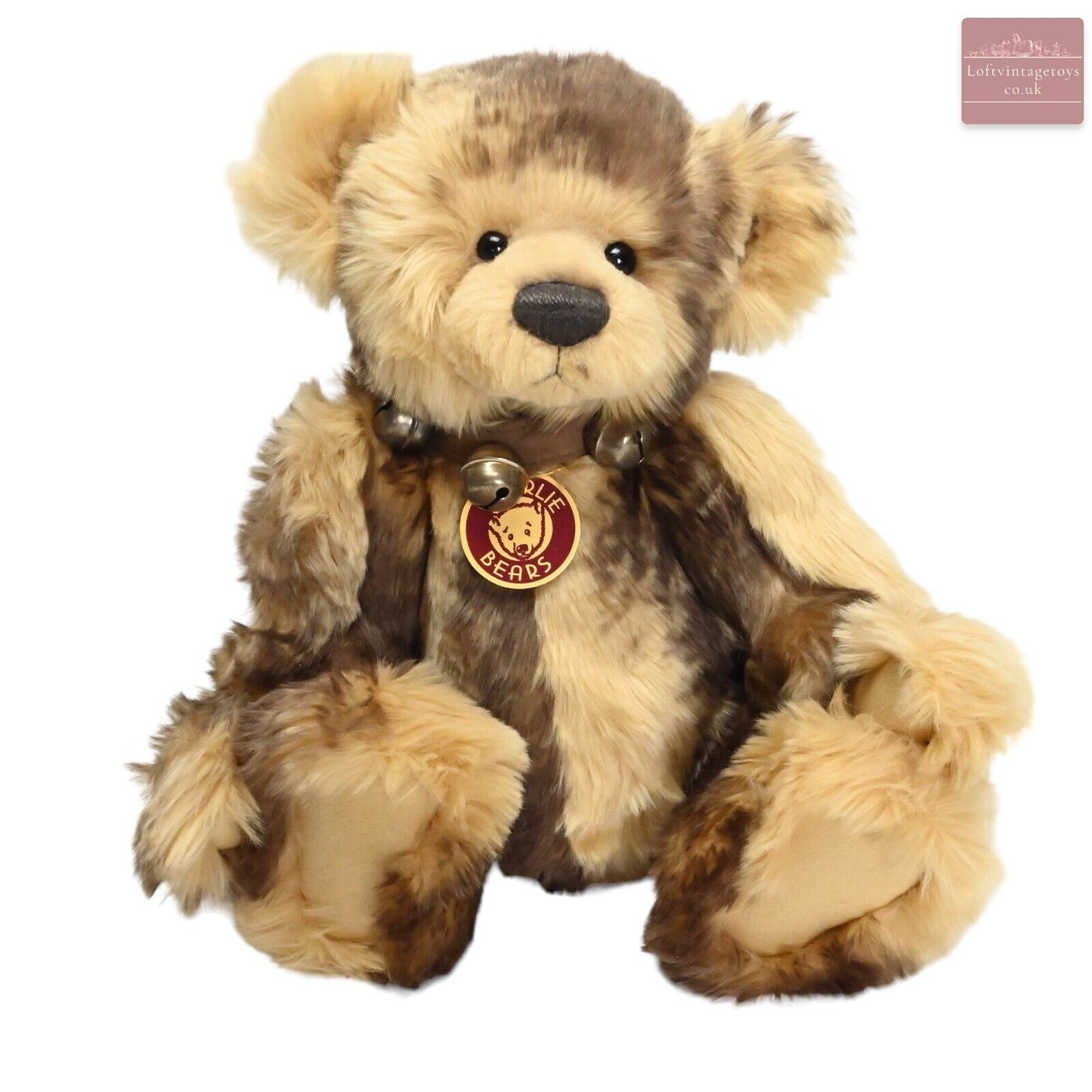 Charlie Bear Bradley – CB 094305 / Im Ruhestand