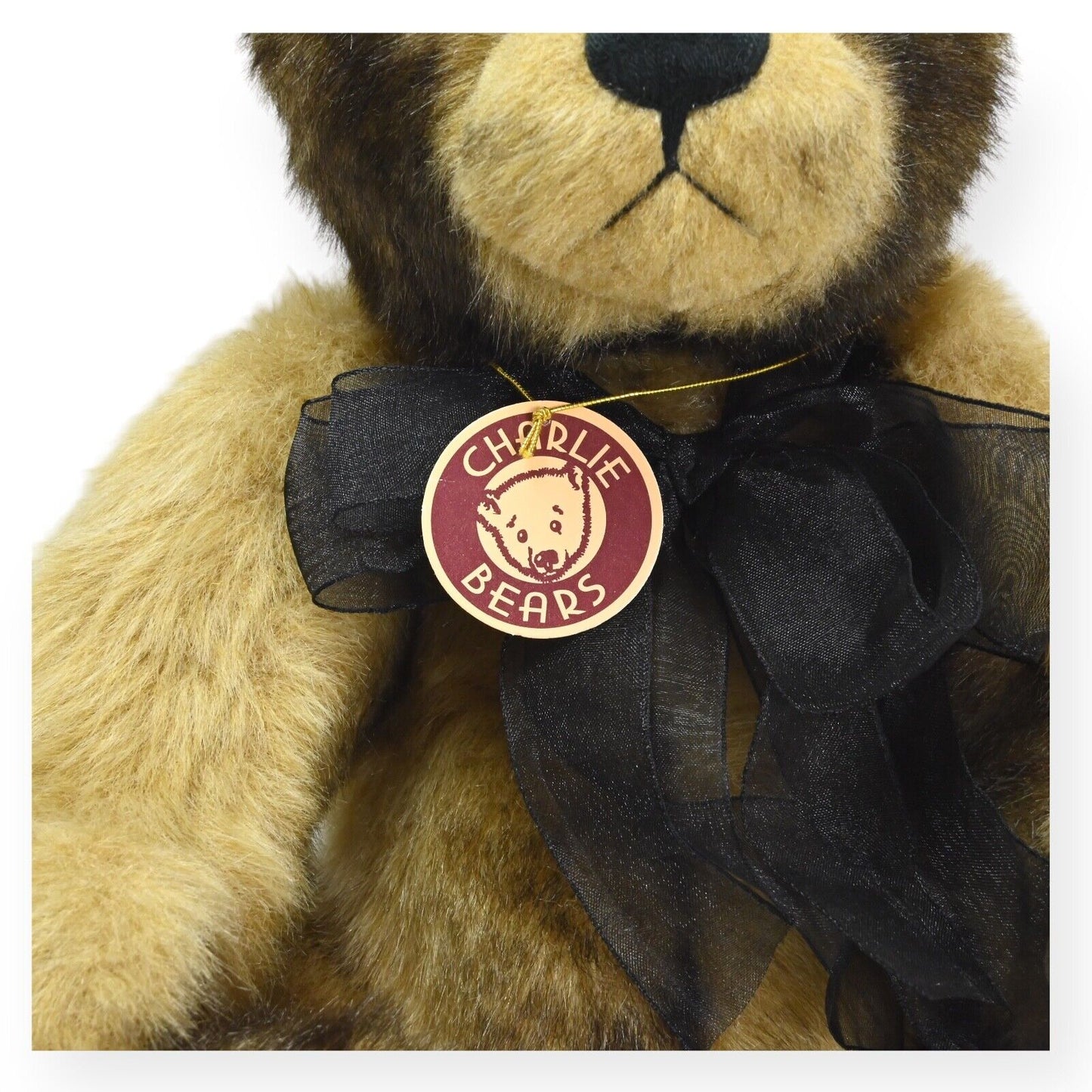 Charlie Bears Kyle Teddybär - Limited Edition von 600 / CB173697