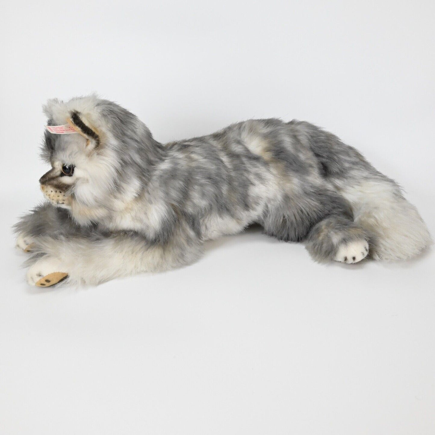 LIZZY MAINE COON CAT Limited edition - 038662