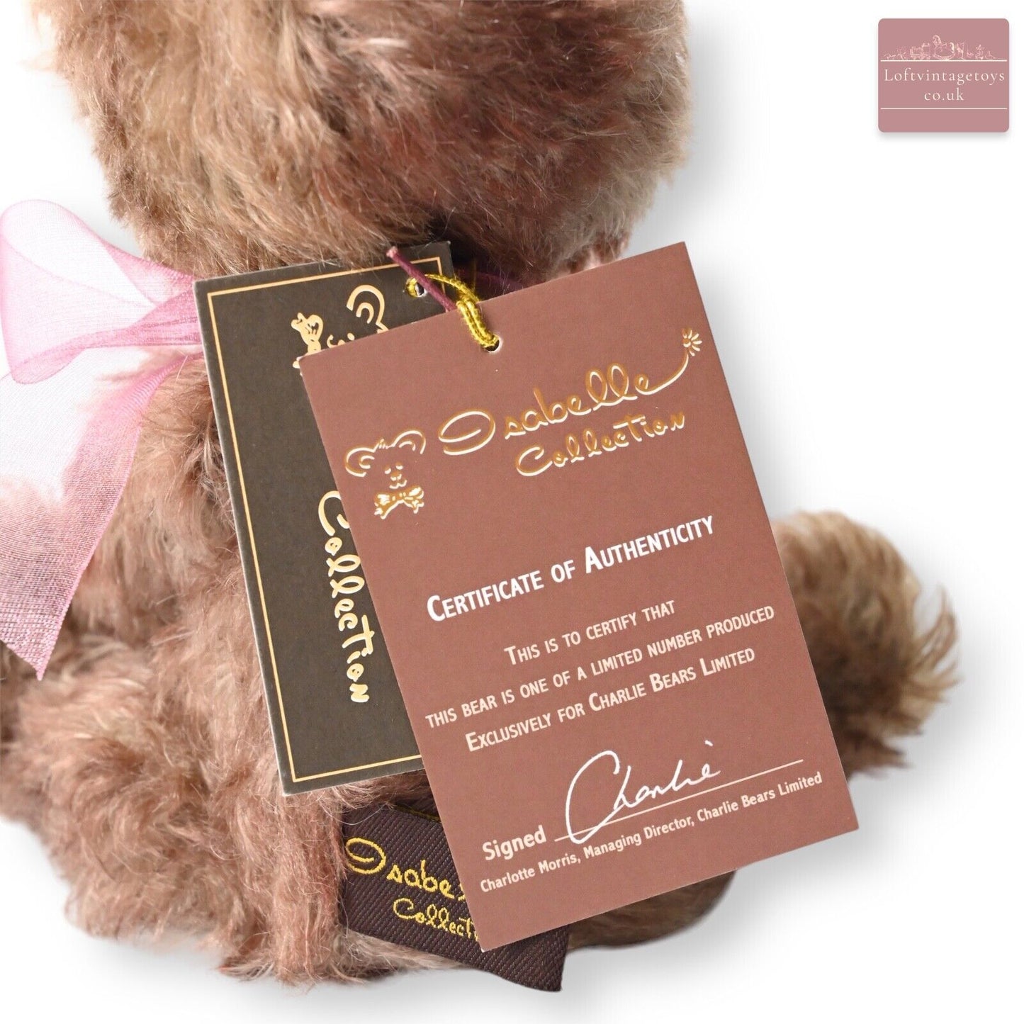 Charlie Bears Squiggle Teddy Bear - SJ 4364 Limited Ed of 300