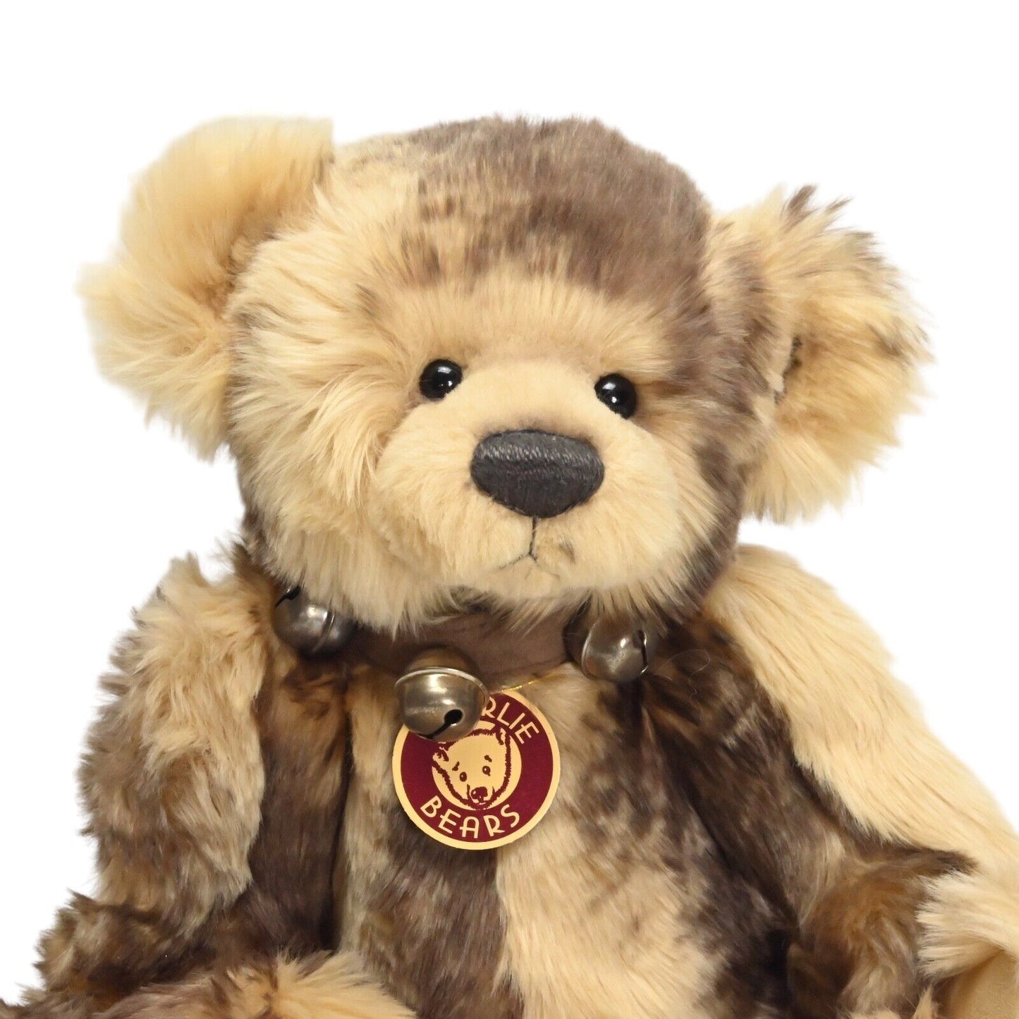 Charlie Bear Bradley – CB 094305 / Im Ruhestand