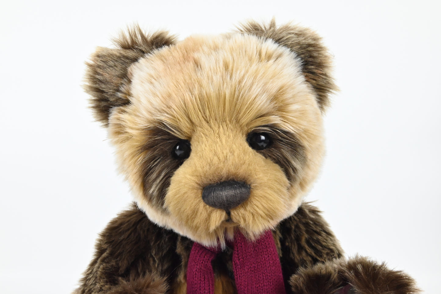 Charlie Bears David Panda Bear - CB194554, Limited Edition of 1950