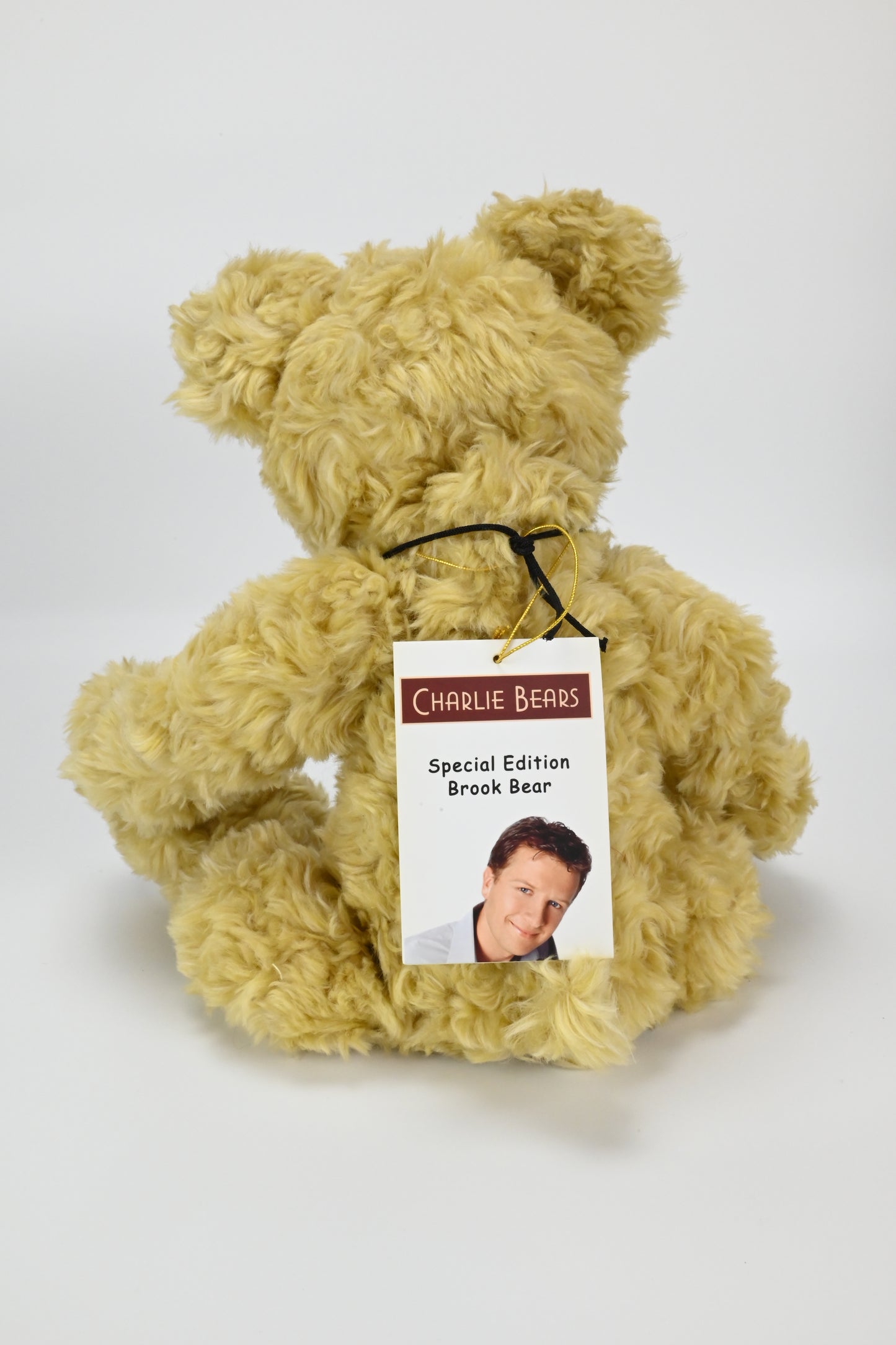 Charlie Brook Teddy Bear, Special Edition - CB 173718,