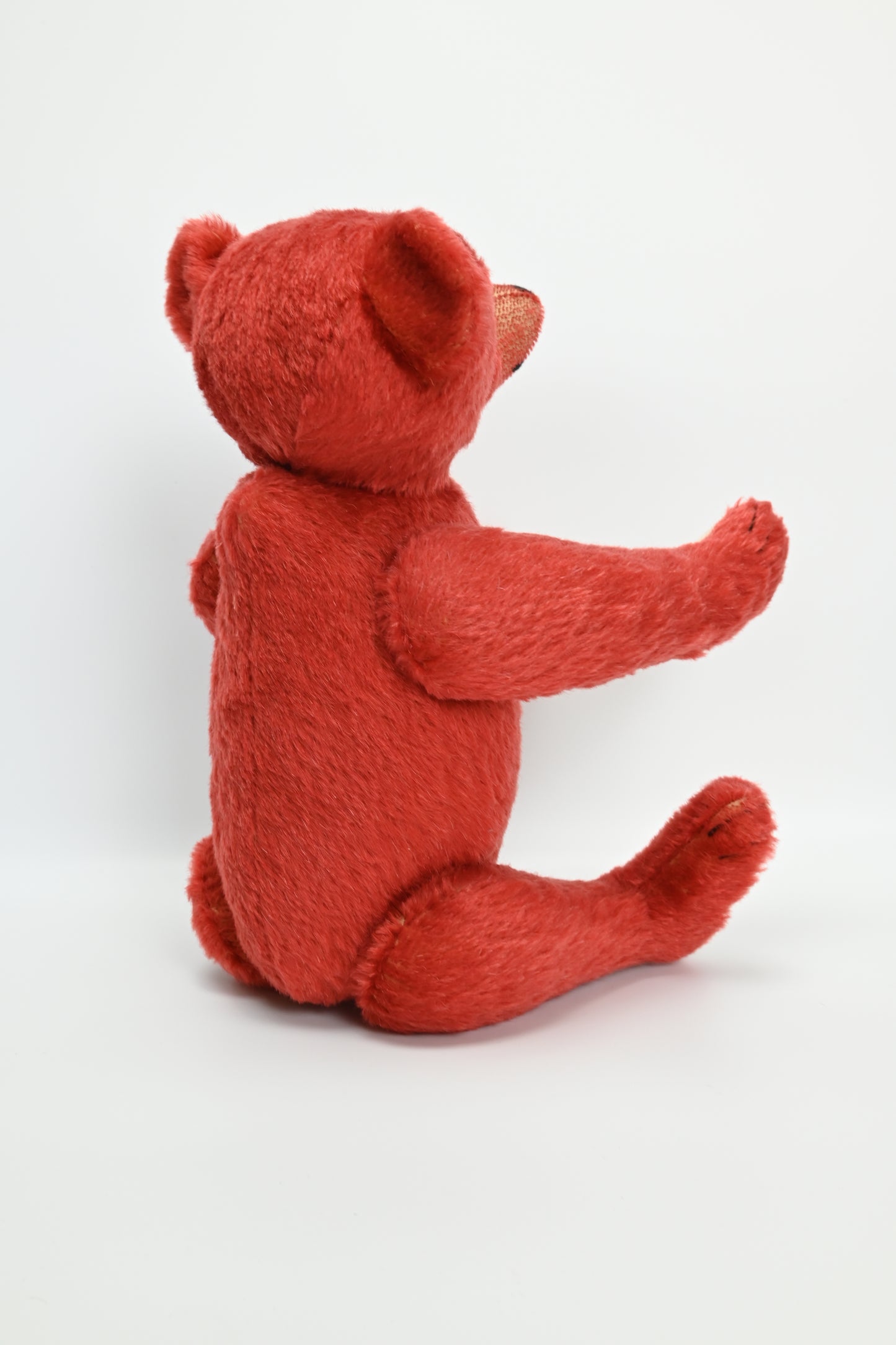 Steiff Teddy Bear replica 1912/1913 LE Bear - 408793 with Box