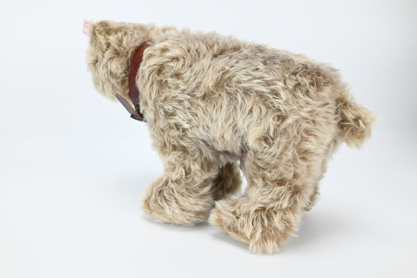 Steiff Yes/No Grizzly Bear - 663925 with Box/COA
