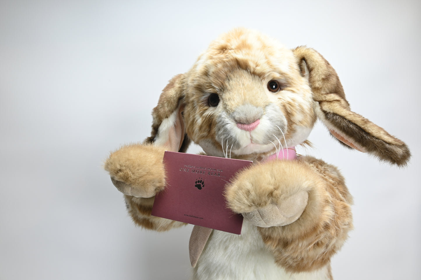 Charlie Bears Malibu Bunny - CB191882 Limited Edition No 1 of 1000