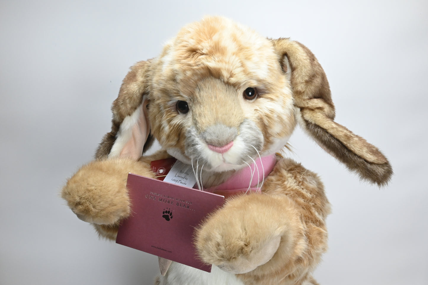 Charlie Bears Malibu Bunny - CB191882 Limited Edition No 1 of 1000