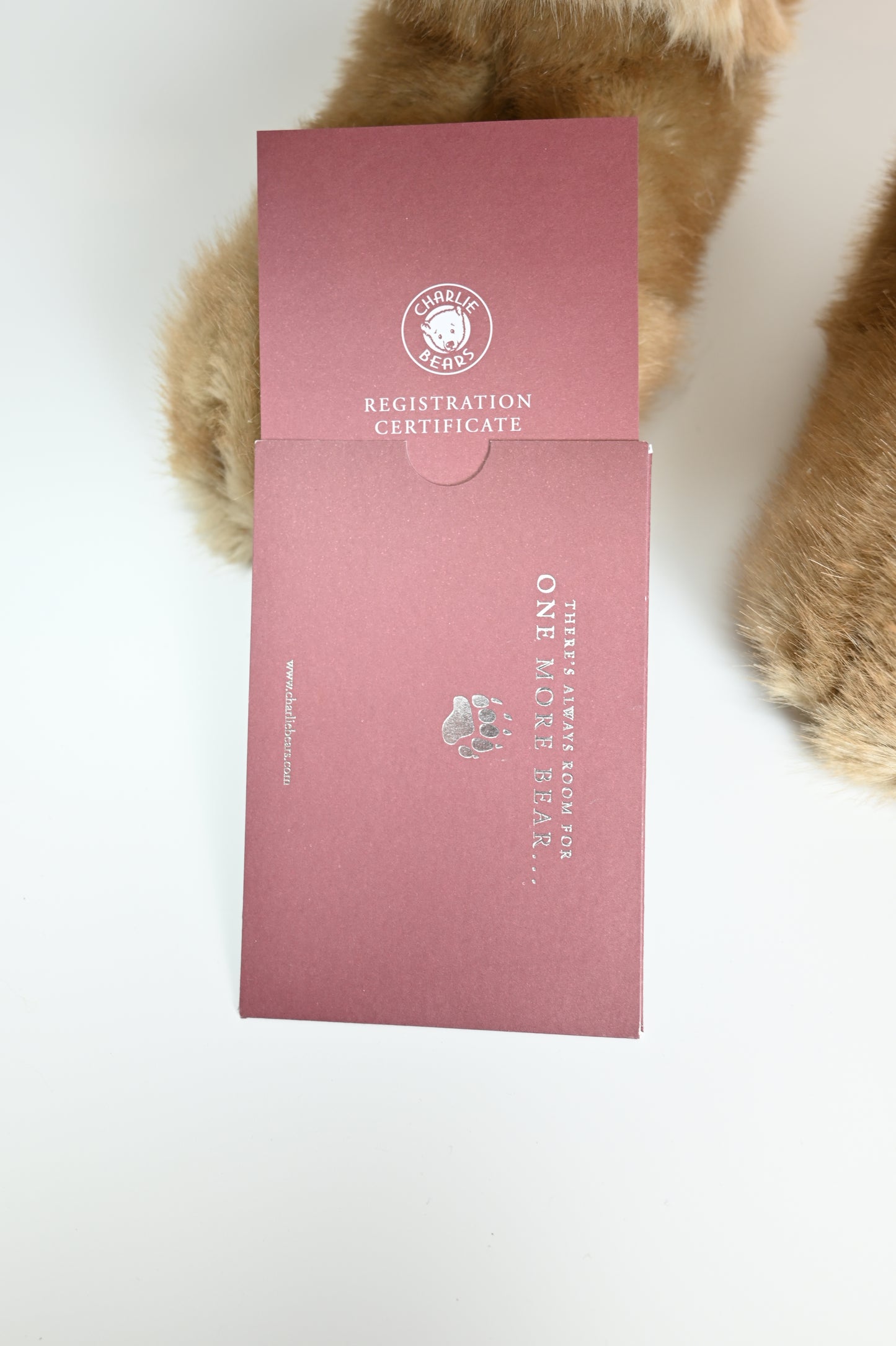 Charlie Bears Malibu Bunny - CB191882 Limited Edition No 1 of 1000