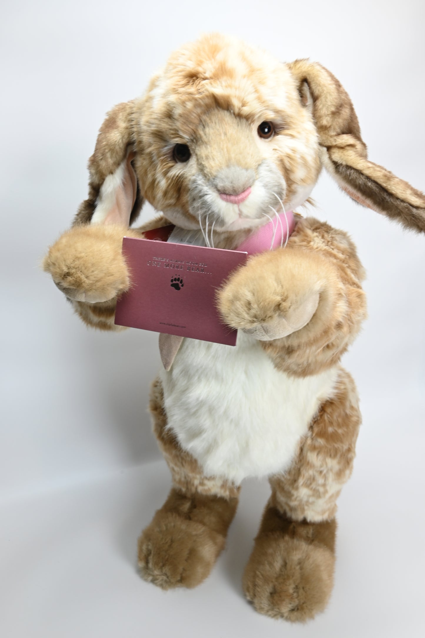 Charlie Bears Malibu Bunny - CB191882 Limited Edition No 1 of 1000