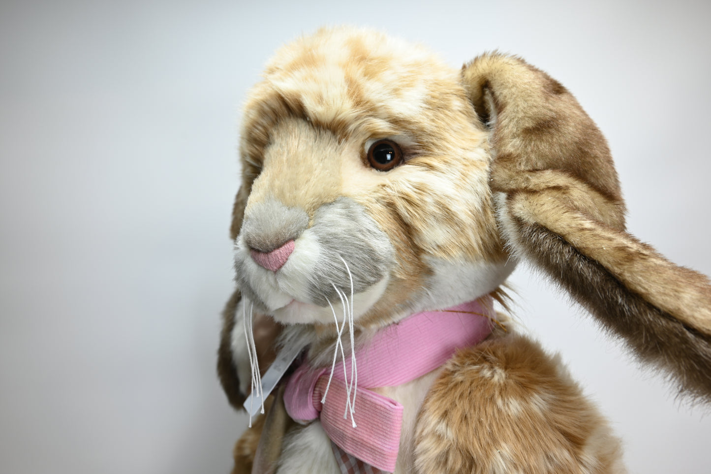 Charlie Bears Malibu Bunny - CB191882 Limited Edition No 1 of 1000