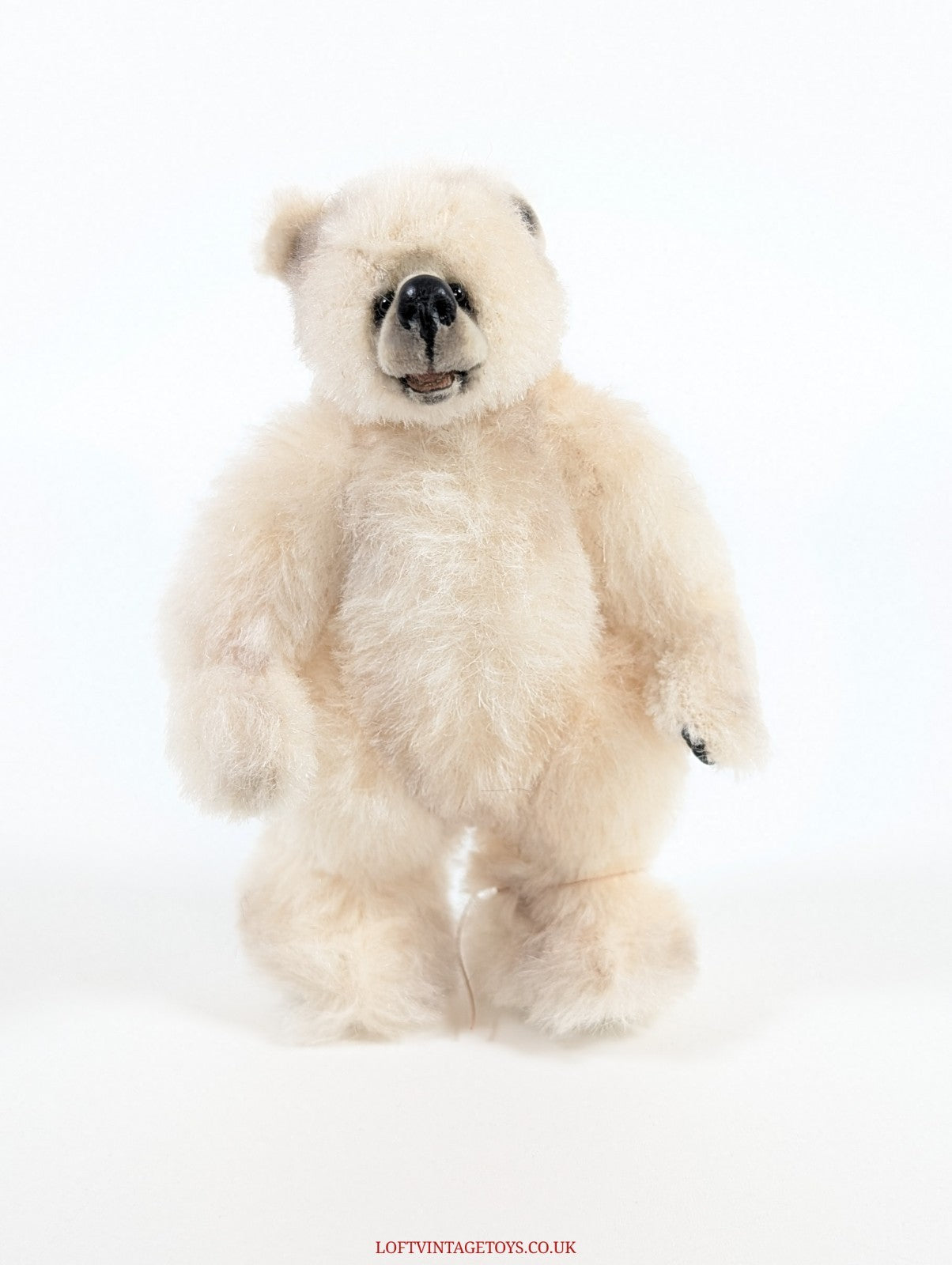Loris Hancock Polar Cub, from 2003