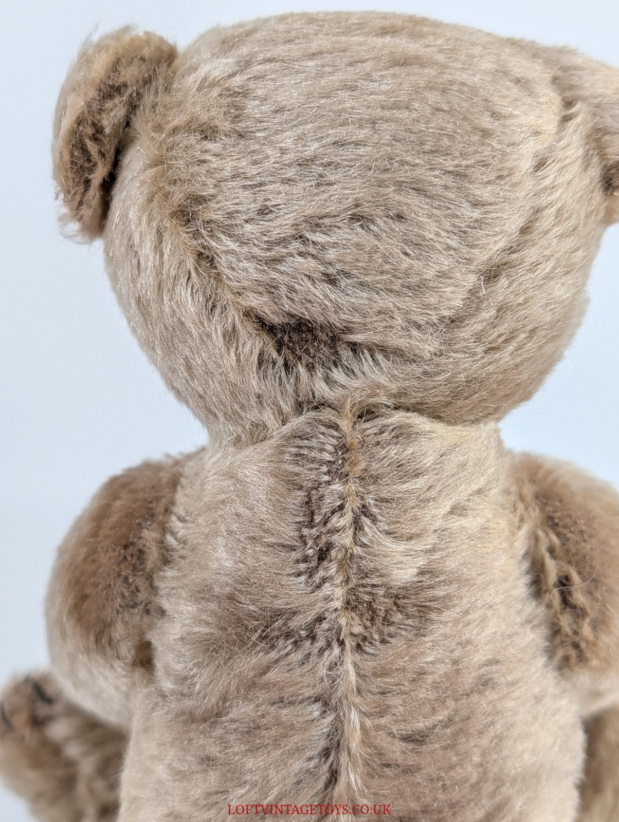 Steiff 1908 Replica Bear With Growler - 408007