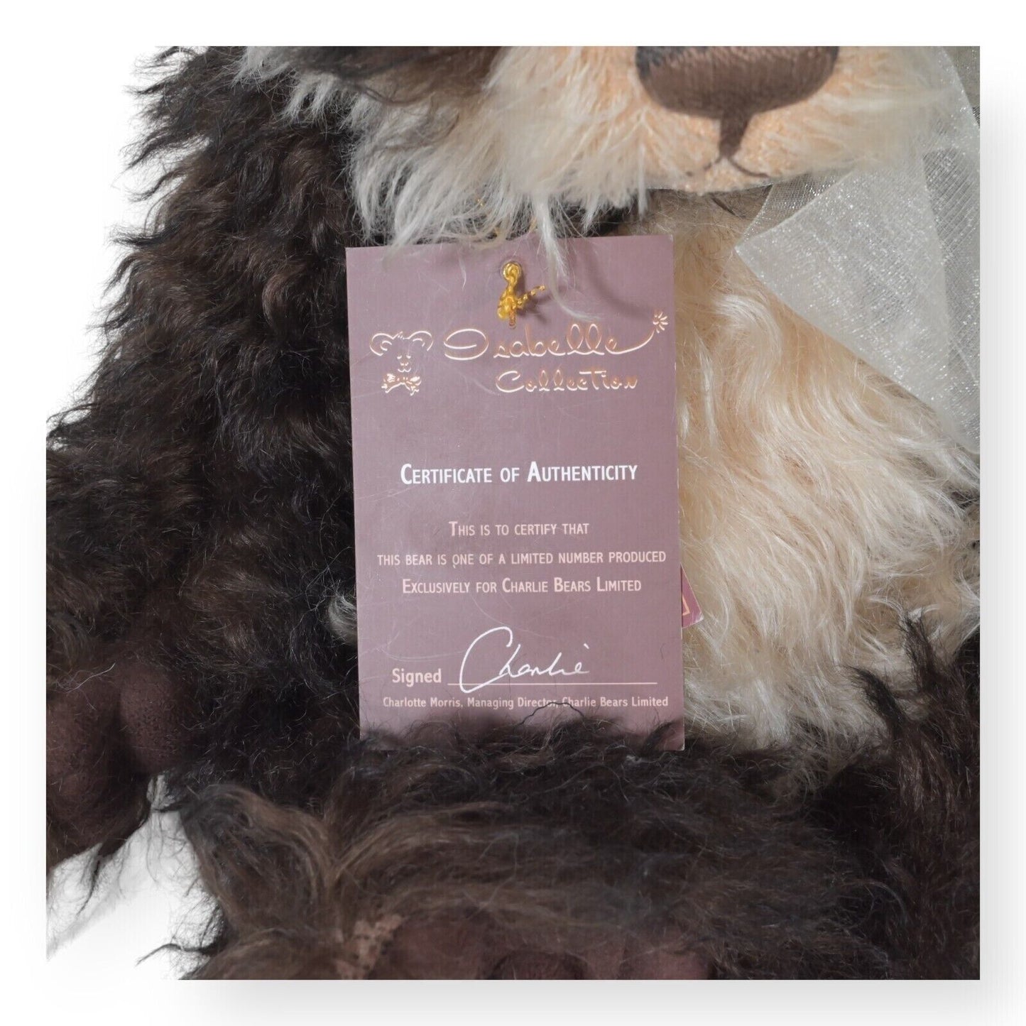 Charlie Bears Isabelle Collection ORIGINAL Cookie - RARE Limited Edition of 100