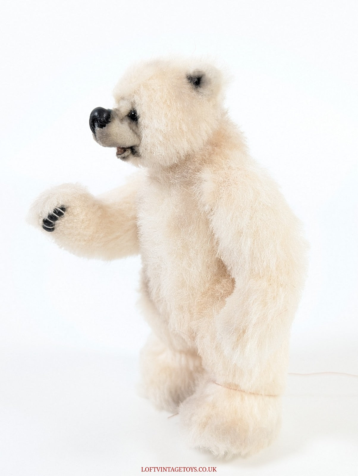 Loris Hancock Polar Cub, from 2003
