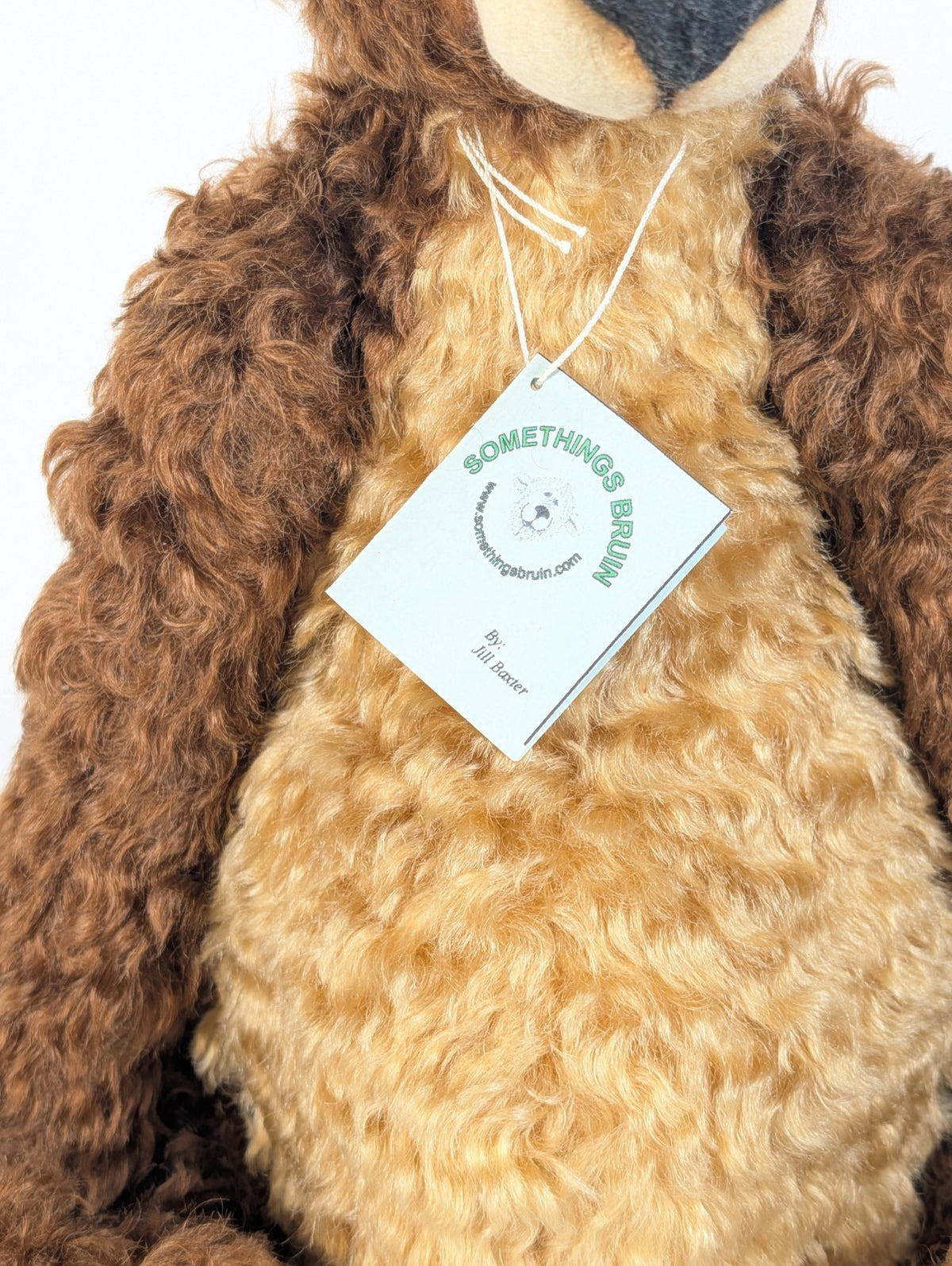 Somethings Bruin By Jill Baxter “Blandford ”  OOAK 1/1