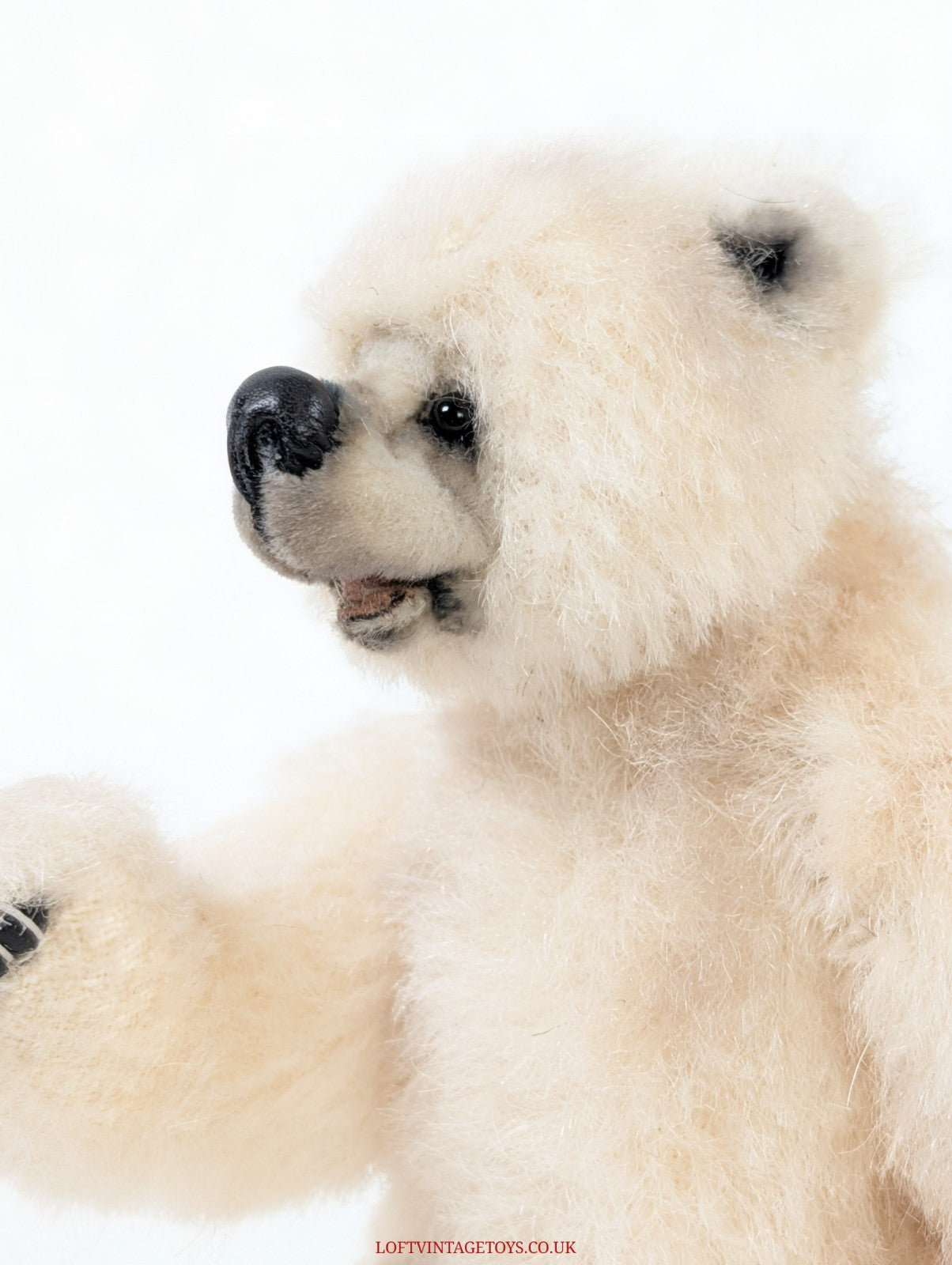 Loris Hancock Polar Cub, from 2003