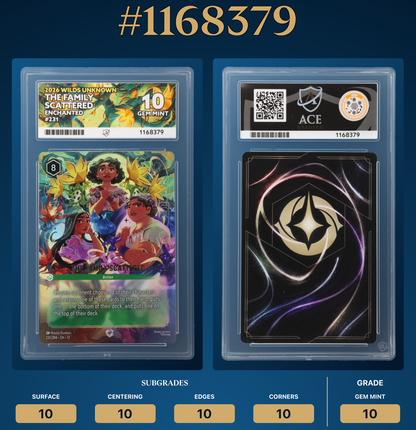 Lorcana The Family Scattered 231/204 Enchanted Disney Wilds Unknown Ace 10