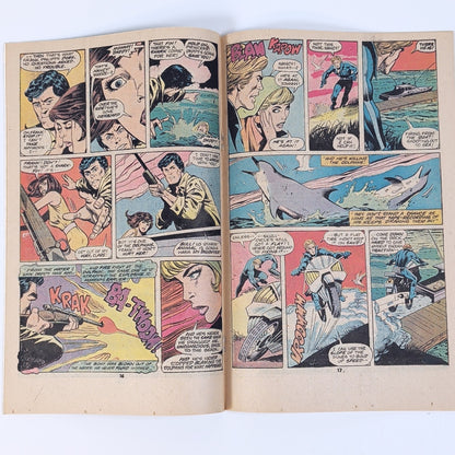 Ghost Rider #16 , Marvel Comics - 1976