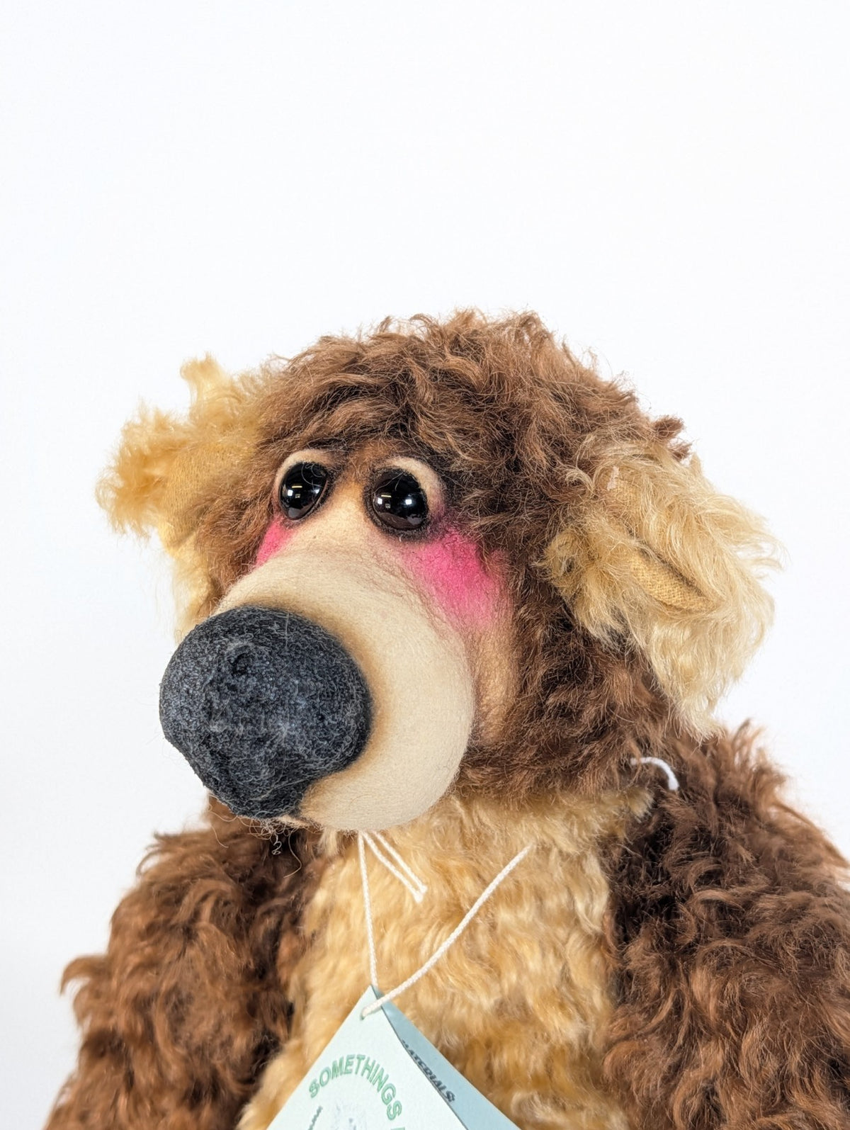 Somethings Bruin By Jill Baxter “Blandford ”  OOAK 1/1