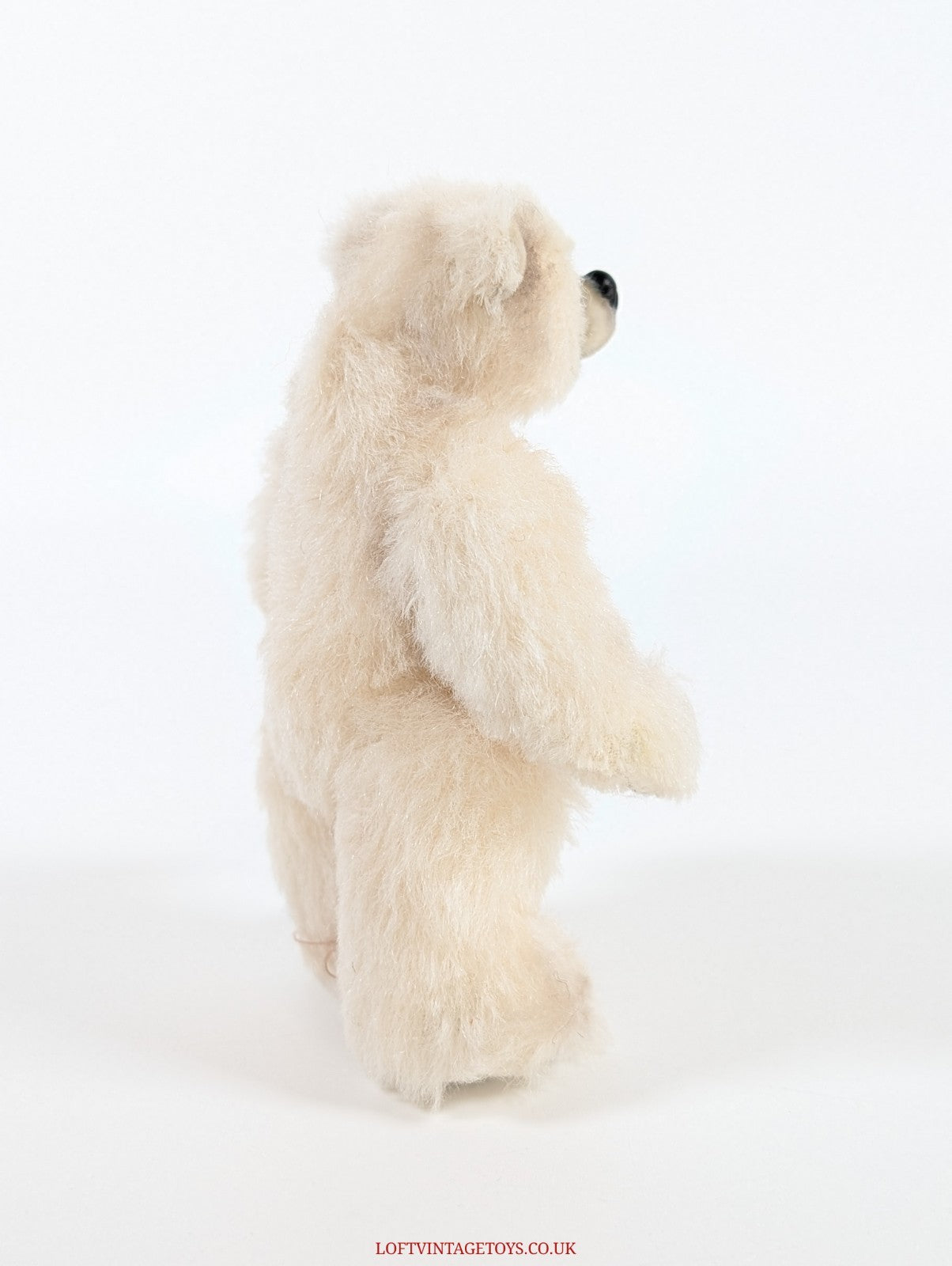 Loris Hancock Polar Cub, from 2003