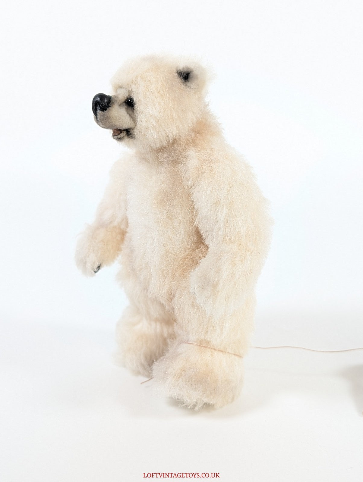 Loris Hancock Polar Cub, from 2003